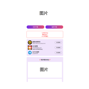 2024首发最火的软件宣传单页源码